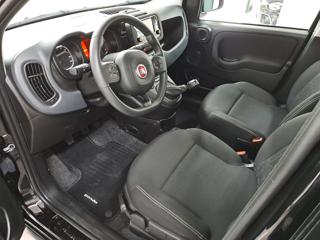 FIAT Panda usata, con Antifurto
