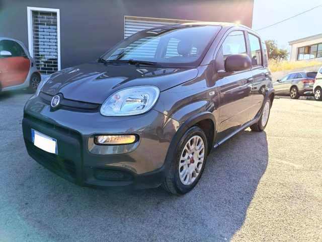 FIAT Panda usata 0