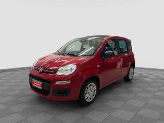 FIAT Panda Pandina 1.0 FireFly 65 CV Hybrid Icon