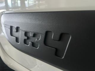 FIAT Panda usata, con Controllo trazione