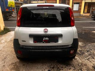 FIAT Panda usata, con ESP