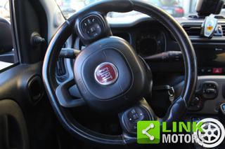 FIAT Panda usata 24
