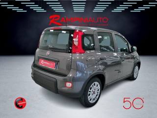 FIAT Panda usata 6