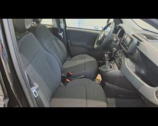 FIAT New Panda usata 23