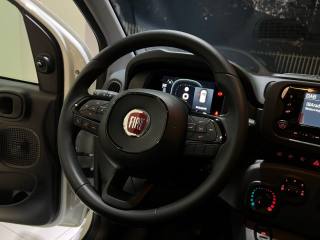 FIAT Panda usata, con Fendinebbia