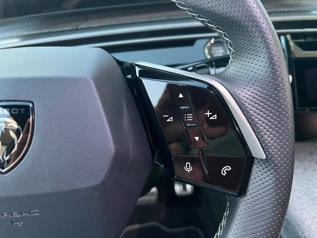PEUGEOT 3008 usata 16