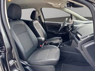 FORD EcoSport usata, con Cruise Control