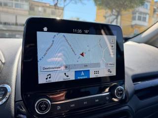 FORD EcoSport usata, con Fendinebbia