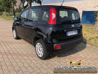 FIAT Panda usata, con Alzacristalli elettrici