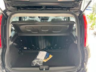 FIAT Panda usata, con Cruise Control