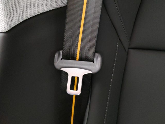 POLESTAR Polestar 4 usata, con Servosterzo