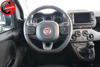 FIAT Panda usata, con Controllo trazione