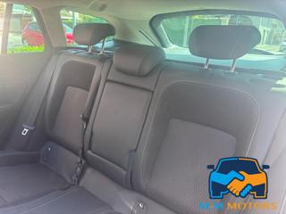 OPEL Insignia usata, con Fendinebbia