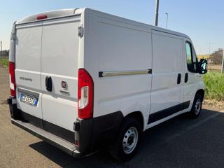 FIAT Ducato usata 19