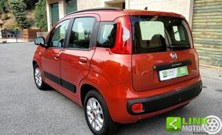 FIAT Panda usata 3