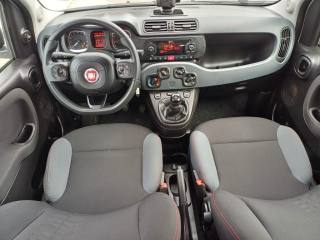 FIAT Panda usata 21