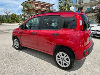 FIAT Panda usata, con Chiusura centralizzata