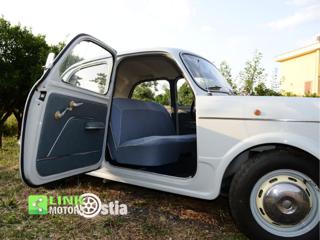 FIAT 1100 usata 47