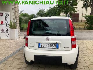 FIAT Panda usata, con Climatizzatore