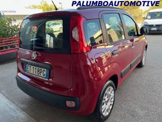 FIAT Panda usata, con Airbag Passeggero