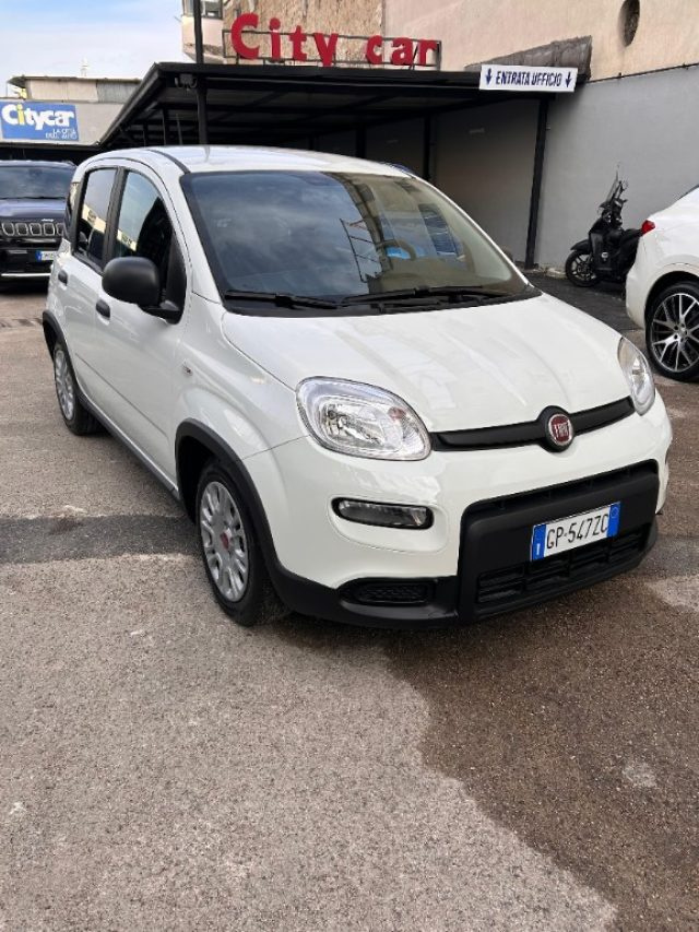 FIAT Panda usata, con Airbag Passeggero