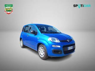FIAT Panda usata, con Airbag Passeggero