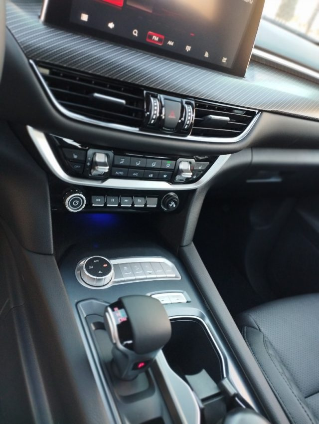 FOTON Tunland G7 usata, con Bracciolo