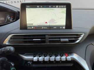 PEUGEOT 3008 usata, con Vetri oscurati