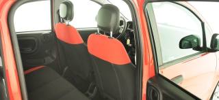 FIAT Panda usata 36