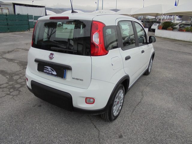FIAT Panda usata 13