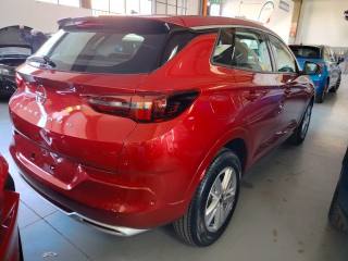 OPEL Grandland usata, con Cruise Control