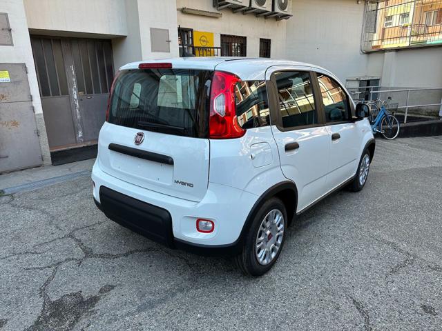 FIAT Panda usata, con Alzacristalli elettrici
