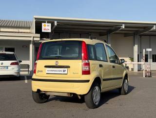 FIAT Panda usata, con Controllo automatico clima