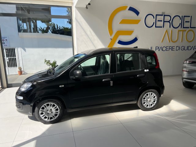 FIAT Panda usata, con Controllo trazione