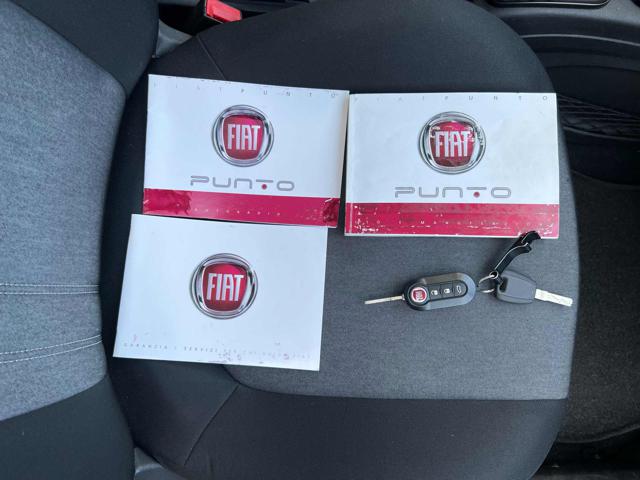 FIAT Punto usata 12