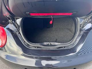 VOLKSWAGEN New Beetle usata, con Tettuccio apribile