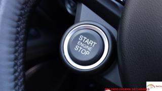 ALFA ROMEO Stelvio usata 151