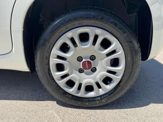 FIAT Panda usata 13