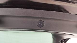 TESLA Model Y usata, con Tetto panorama