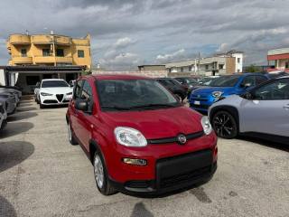 FIAT Panda usata, con Alzacristalli elettrici