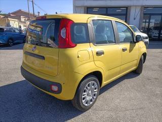 FIAT Panda usata, con Controllo trazione