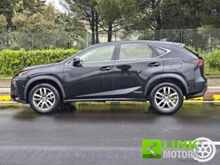 LEXUS NX 300 usata, con Airbag laterali
