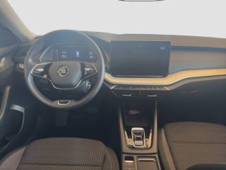 SKODA Octavia usata 11