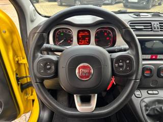 FIAT Panda Cross usata, con ESP