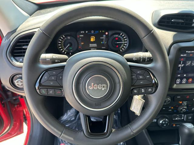 JEEP Renegade usata, con Boardcomputer