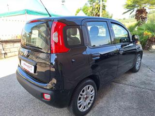 FIAT Panda usata, con Airbag Passeggero