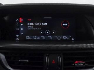ALFA ROMEO Stelvio usata 13