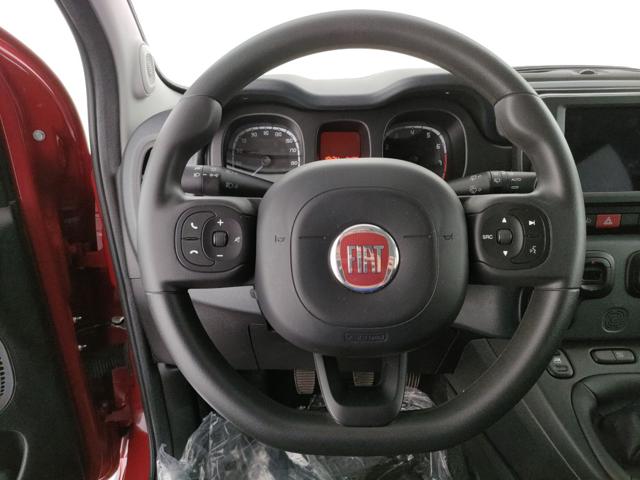 FIAT Panda Cross usata, con Controllo trazione
