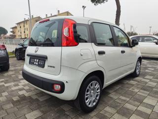 FIAT Panda usata, con Alzacristalli elettrici