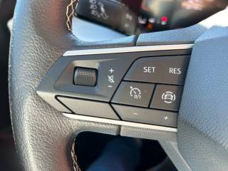 SEAT Ibiza usata, con Fendinebbia